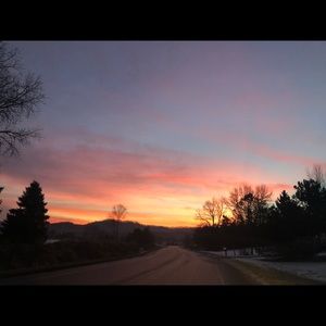 Meet your Posher, Janet